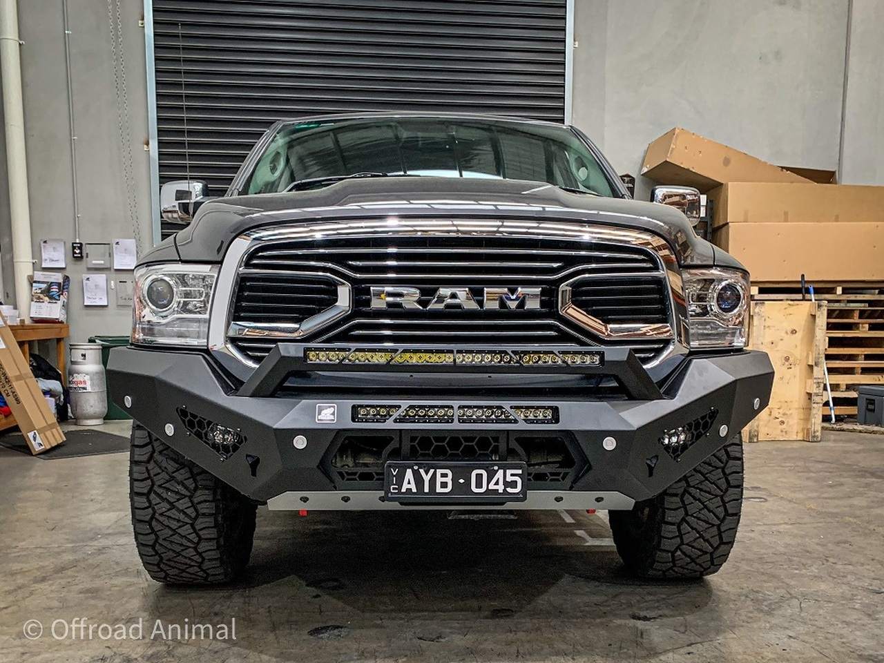 Offroad Animal Predator Bull Bar To Suit Dodge Ram 1500 DS (2017-On)