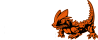website logo