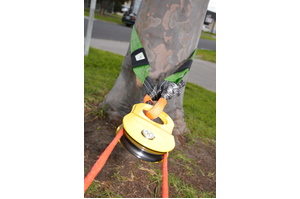 Roadsafe Soft Shackle